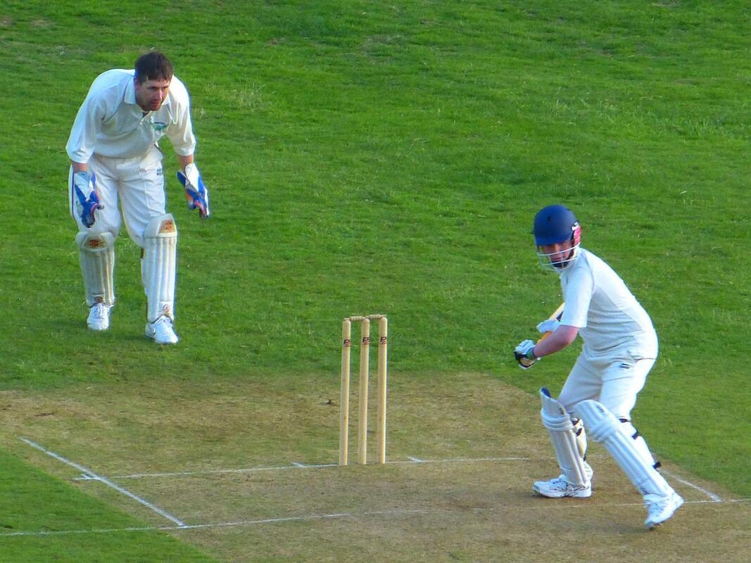 players playing cricket